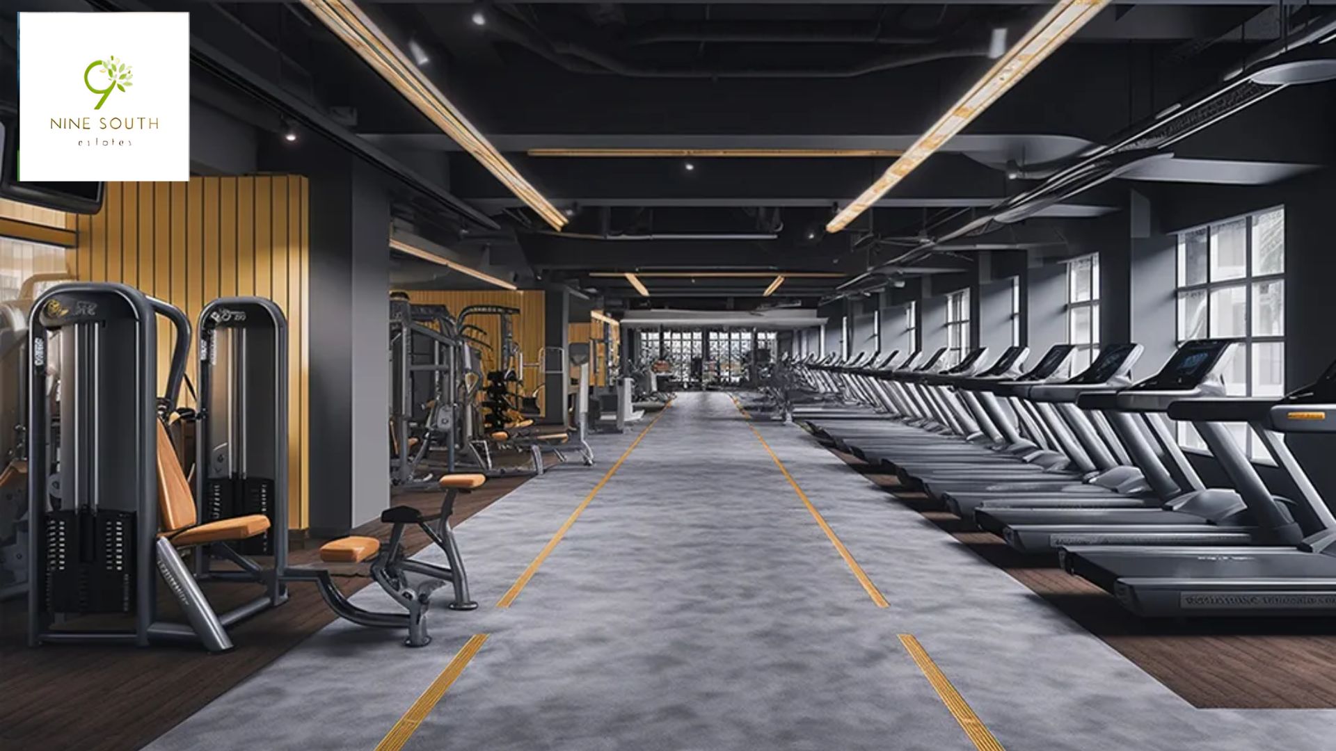 Phòng gym hiện đại